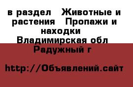  в раздел : Животные и растения » Пропажи и находки . Владимирская обл.,Радужный г.